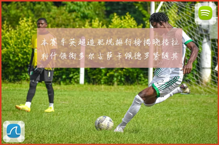 本赛季英超造犯规排行榜揭晓格拉利什领衔多尔古萨卡佩德罗紧随其后